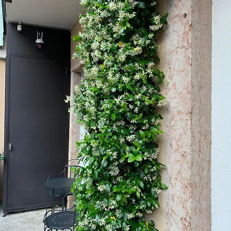 Jasmine Πανσιόν 3*