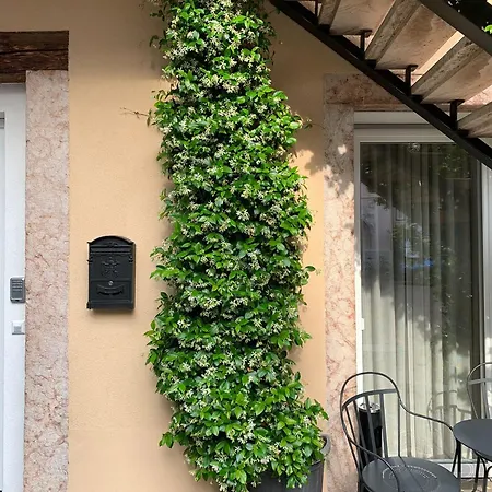 게스트하우스 Jasmine 볼차노